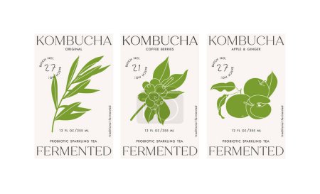 Ilustración de Set vectorial de etiquetas de diseño de ilustración para kombucha. Diseño minimalista y moderno - Imagen libre de derechos