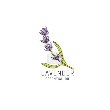 Illustration for Vector packaging design element and icon in linear style - lavender oil - healthy vegan food. Logo sign - Royalty Free Image