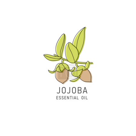 Ilustración de Elemento de diseño de envasado vectorial e icono en estilo lineal - aceite de jojoba - comida vegana saludable. Signo de logotipo - Imagen libre de derechos