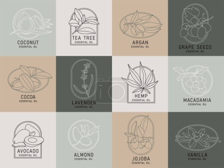Illustration for Vector set design templates and emblems - healthy and essential cosmetics oils. Different natural, organic oils. Logos in trendy linear style - Royalty Free Image