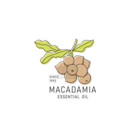 Illustration for Vector packaging design element and icon in linear style - macadamia oil - healthy vegan food. Logo sign - Royalty Free Image