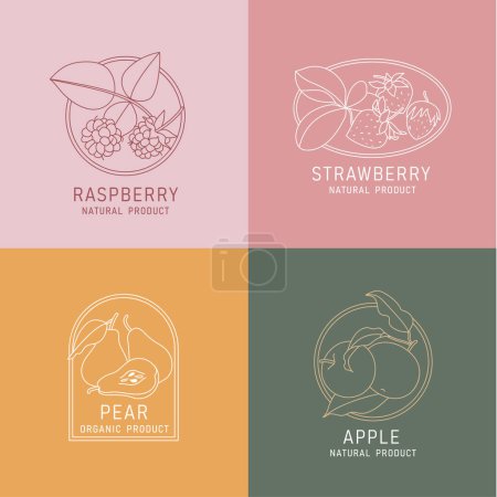 Illustration for Vector illustration fruits and berries - vintage minimalist style. Logos set composition in retro botanical style - Royalty Free Image