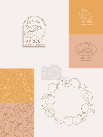 Téléchargez les illustrations : Illustration vectorielle abricot fruits - style vintage minimaliste. Logos ensemble composition dans un style botanique rétro. Modèle sans couture - en licence libre de droit