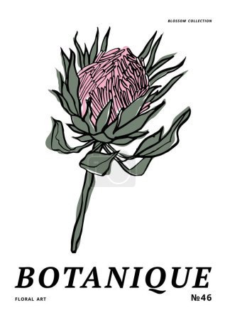 Illustration for Vector illustration - ink floral posters with protea flowers . Art for for prints, wall art, banner, background - Royalty Free Image