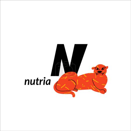 Illustration for Vector illustration with nutria and English capital letter N. childish alphabet for language learning - Royalty Free Image