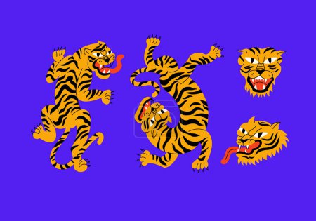 Illustration for Vector illustration set with walking tiger and tiger head. Cartoon animal character. Ideal for print - Royalty Free Image