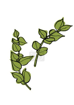 Ilustración vectorial - bosquejo colorido con ramas de eucalipto. Arte para impresiones, arte mural, banner, fondo
