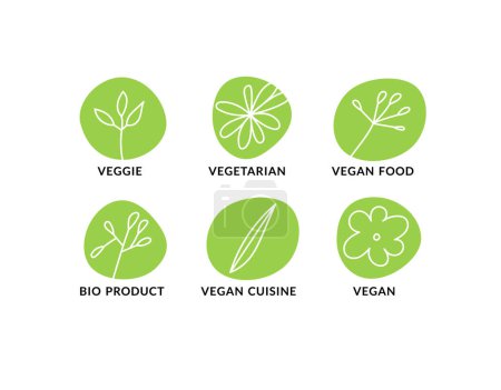 Vector linear icons set for vegan food diet. Marks for different products and dishes