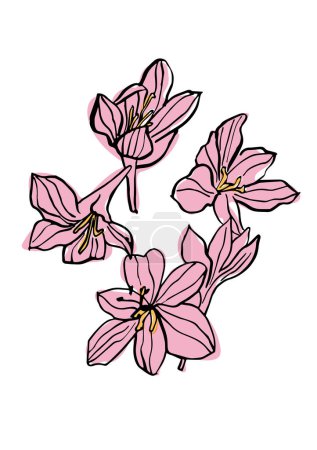 Téléchargez les illustrations : Illustration vectorielle - croquis coloré avec des fleurs de magnolia rose. Art pour gravures, art mural, bannière, fond - en licence libre de droit
