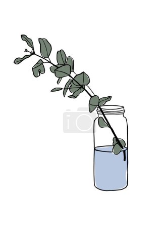 Ilustración vectorial - bosquejo colorido con eucalipto en jarrón. Arte para impresiones, arte mural, banner, fondo