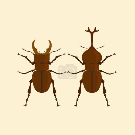 vector illustration of horn beetle