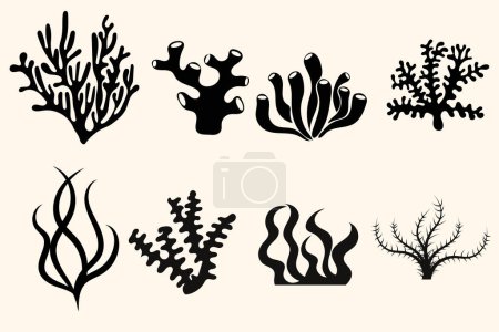 Ilustración de Colección de siluetas de algas y corales en vector - Imagen libre de derechos