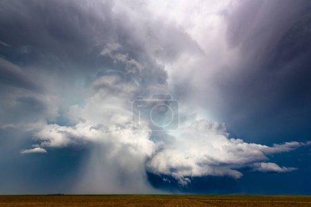 Téléchargez les photos : Microrafale de grêle tombant d'un énorme nuage de tempête sur les champs - en image libre de droit