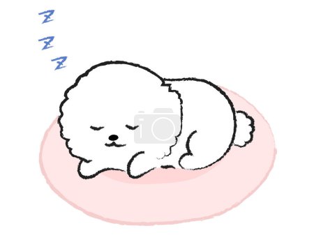 Illustration of a dog sleeping on the bed Bichon Frize