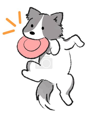 Dog catching frisbee border collie