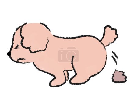 Illustration for A dog poodle that excretes a lot of poop - Royalty Free Image
