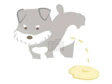 Téléchargez les illustrations : Schnauzer, un chien qui lève les jambes pour uriner - en licence libre de droit