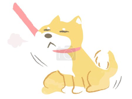 Téléchargez les illustrations : Shiba Inu, un chien qui refuse d'être emmené se promener et ne bouge pas - en licence libre de droit