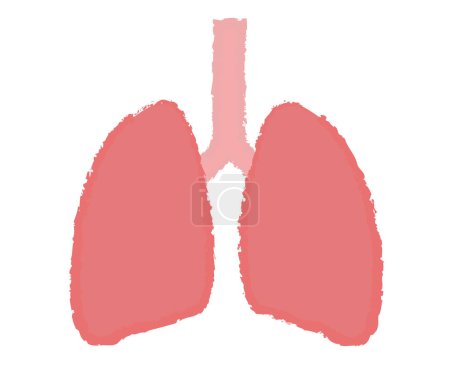 Simple lung illustration handwritten style