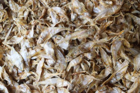 view of unsalted dried fish.