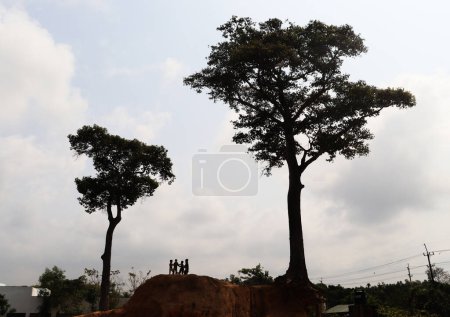 Concept landscape with a tree as a metaphor for global warming and climate change. Children playing under a big tree soil eroded. Environmental problems like deforestation.