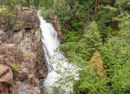 Ein verträumter Wasserfall fließt über eine braune Felswand in einem dichten grünen Waldgebiet in Kimberly British Columbia Kanada