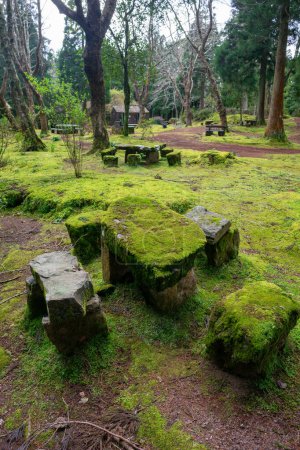 Mesas y bancos de picnic de piedra cubiertos de musgo, rodeados de árboles en una zona de picnic en la isla de Terceira, Azores.