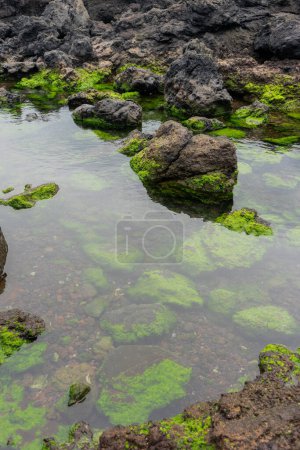 Foto de Pequeño lago idílico ubicado entre formaciones rocosas volcánicas en la isla de Terceira, Azores. - Imagen libre de derechos