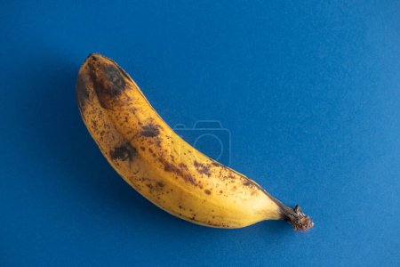 Vieille banane flétrie sur fond bleu. Symbole de vieillissement et de pourriture. Parfait pour illustrer des concepts d'impermanence.