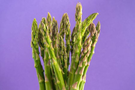 Lebendiger grüner Spargel steht in schönem Kontrast zu einem satten violetten Hintergrund. Perfekt für kulinarische Konzepte oder gesunden Lebensstil.