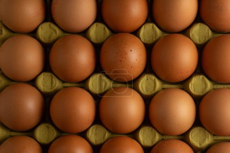 Photo for A neatly arranged row of brown chicken eggs in a cardboard carton. The eggs are evenly spaced, highlighting their uniformity. The soft light casts gentle shadows, creating a warm, inviting atmosphere. - Royalty Free Image