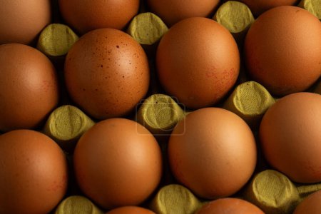 Photo for A neatly arranged row of brown chicken eggs in a cardboard carton. The eggs are evenly spaced, highlighting their uniformity. The soft light casts gentle shadows, creating a warm, inviting atmosphere. - Royalty Free Image