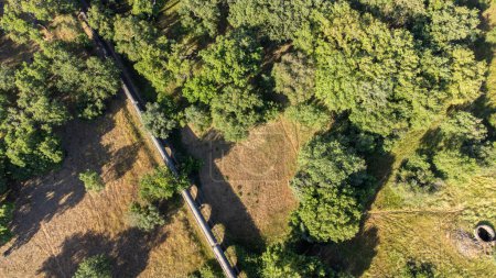 An aerial view of a picturesque aqueduct nestled amidst trees in the Alentejo countryside, Portugal.