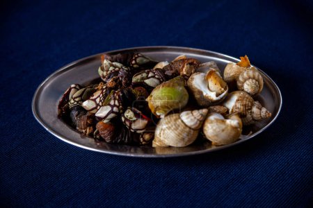 Delicious Portuguese seafood appetizer: steamed percebes and whelks.