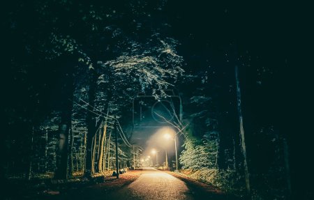 Téléchargez les photos : Une route sombre éclairée par l'éclairage automobile avec des arbres bordant les deux côtés, la surface de la route asphaltée disparaissant dans l'horizon de minuit, créant des teintes et des ombres étranges dans la nuit glacée - en image libre de droit