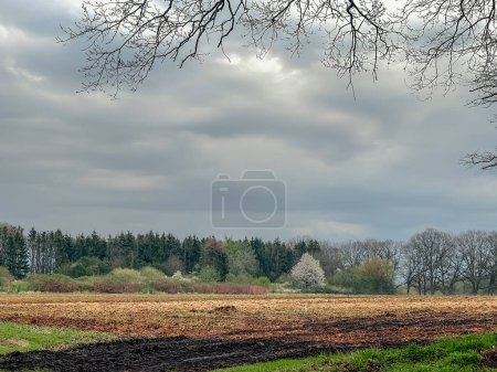 Foto de Un paisaje natural con un campo con hierba y árboles, situado contra un cielo nublado, creando un ambiente tranquilo y sereno - Imagen libre de derechos