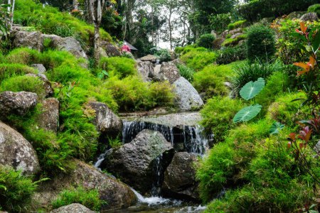 Ein spektakulärer Mini-Wasserfall, der in Berjaya Hill, Malaysia auch als japanische Teehausfälle bekannt ist. Dieser Wasserfall mit seiner grünen Umgebung ist perfekt für Entspannung und Meditation.