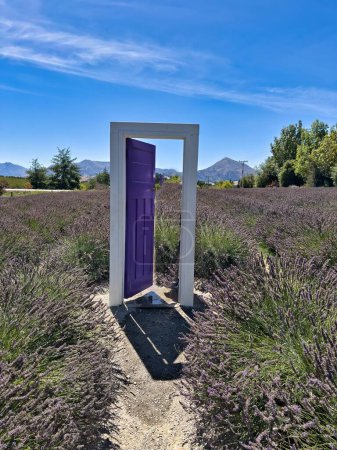 Photo for This is the famous lavender door found at a lavender farm in Wanaka New Zealand - Royalty Free Image