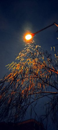 The light of a street lamp in the evening. In the winter