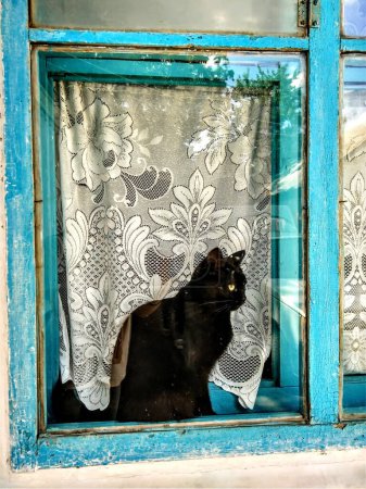 A black cat sits on the other side of the window and watches over the environment