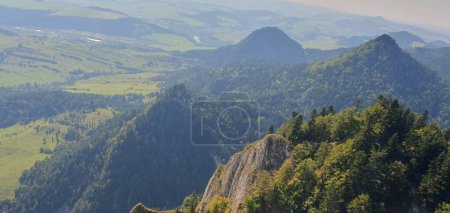 Photo for View from the top of the Three Crowns - hills covered with coniferous forest - Royalty Free Image