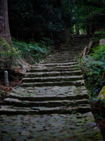 Téléchargez les photos : Kumano kodo en wakayama japon - en image libre de droit