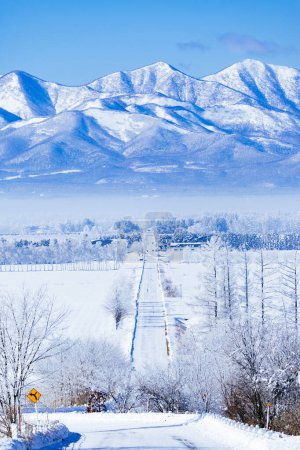 straight road and mountanrange in winter