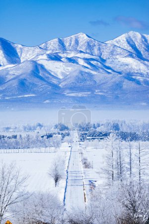straight road and mountanrange in winter