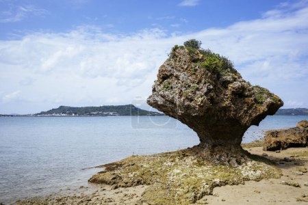 Amamichus Grab in Okinawa Japan