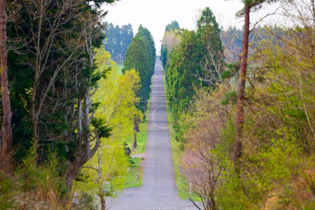 monasterio trapense en Japón hakodate