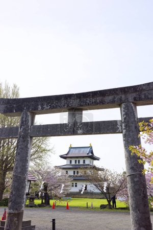 Sanctuaire Matsumae et fleurs de cerisier