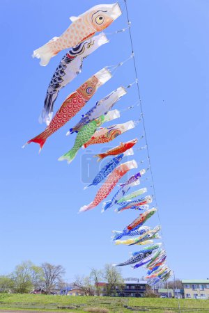 carp streamer in may Japan