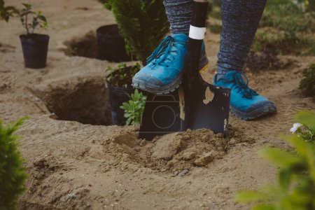 Person in blauen Schuhen benutzt Schaufel, um Erde für die Bepflanzung vorzubereiten. Lebendiger Blues kontrastiert mit erdigen Tönen und fängt die Vorfreude auf neues Wachstum ein. Landwirtschaft, Gartengeräte. Hochwertig.