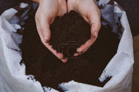 Téléchargez les photos : Main dans le sac de terre sombre riche pleine d'humus. Photo de haute qualité - en image libre de droit